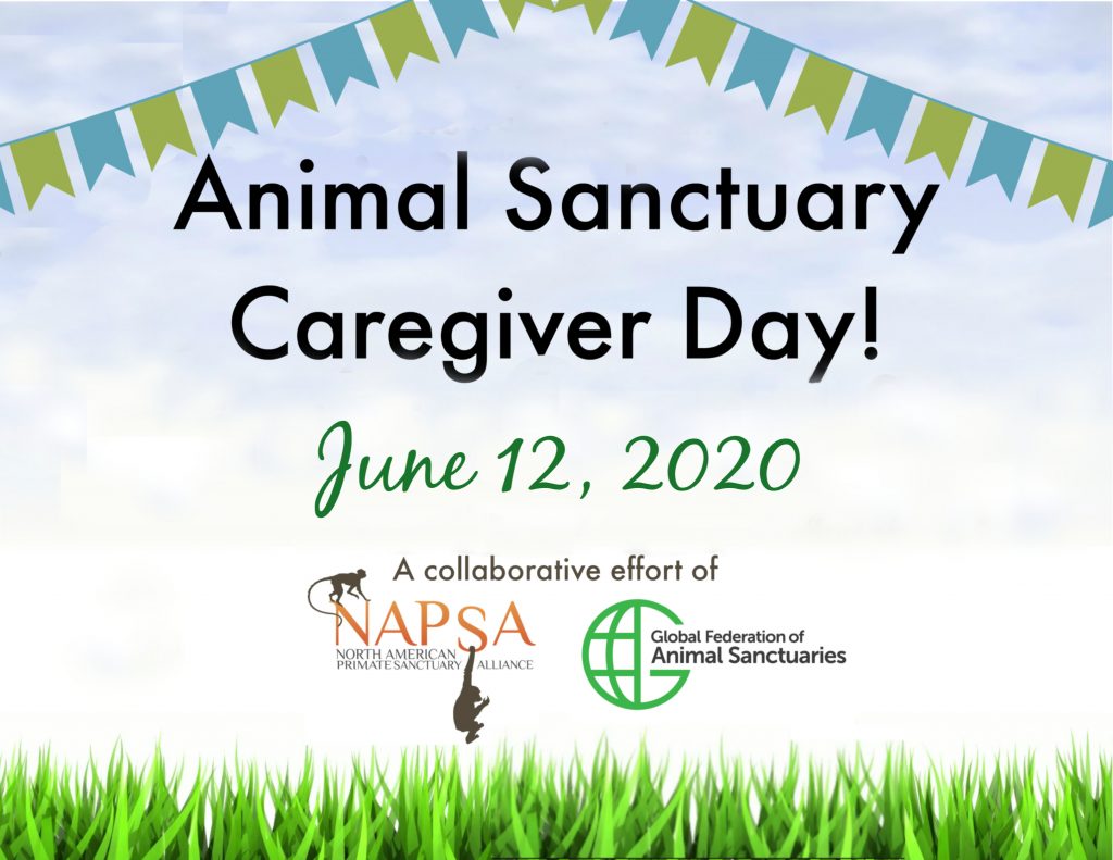 Animal Sanctuary Caregiver Day