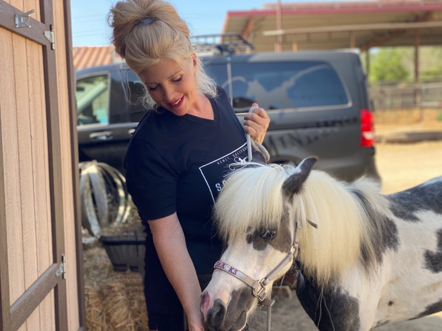 So. Cal Miniature Horse Sanctuary in Hemet, California is Now ...