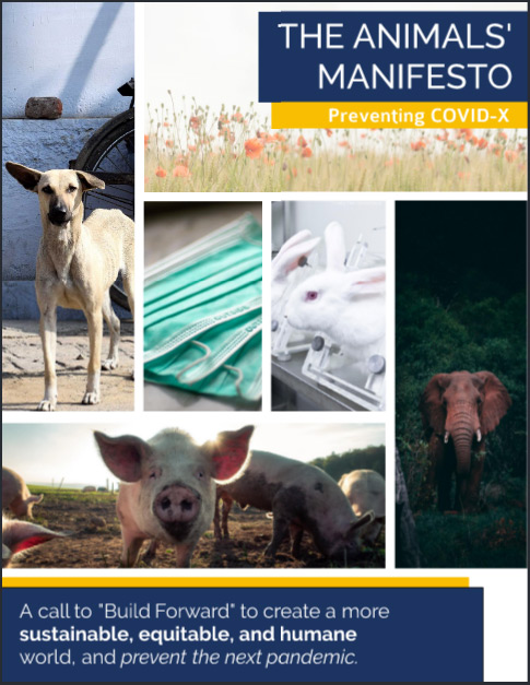 Animals-Manifesto