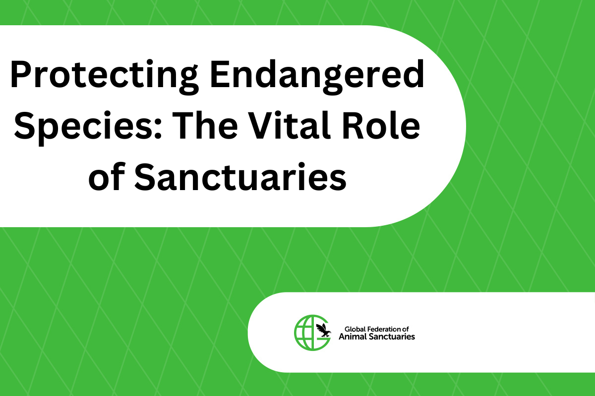 Protecting Endangered Species: The Vital Role of Sanctuaries - Global  Federation of Animal Sanctuaries