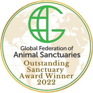 thumbnail_Sanctuary-Award-Globe
