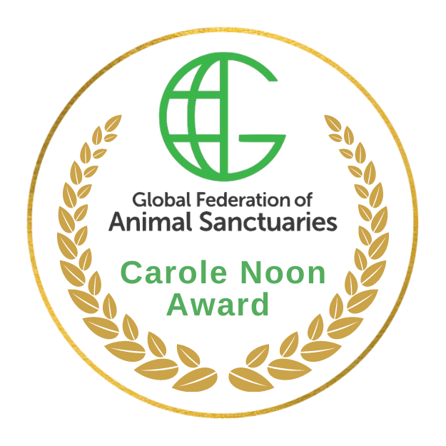 Carole Noon Award general logo