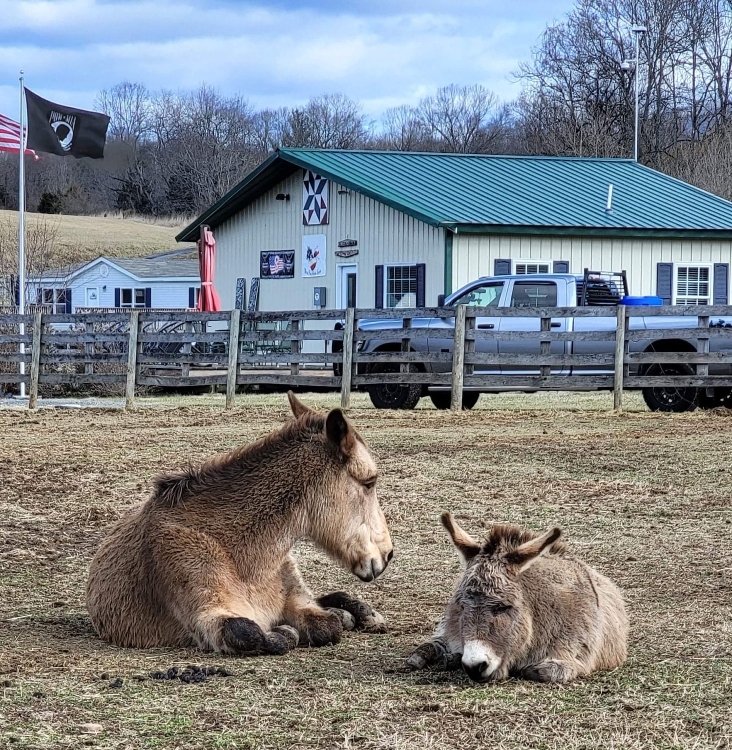 Freedom Ranch Virginia February 2023 - Global Federation of Animal Sanctuaries