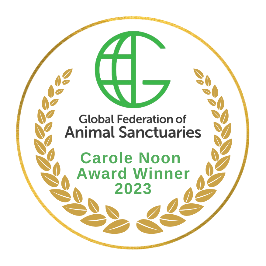 Carole Noon Award 2023
