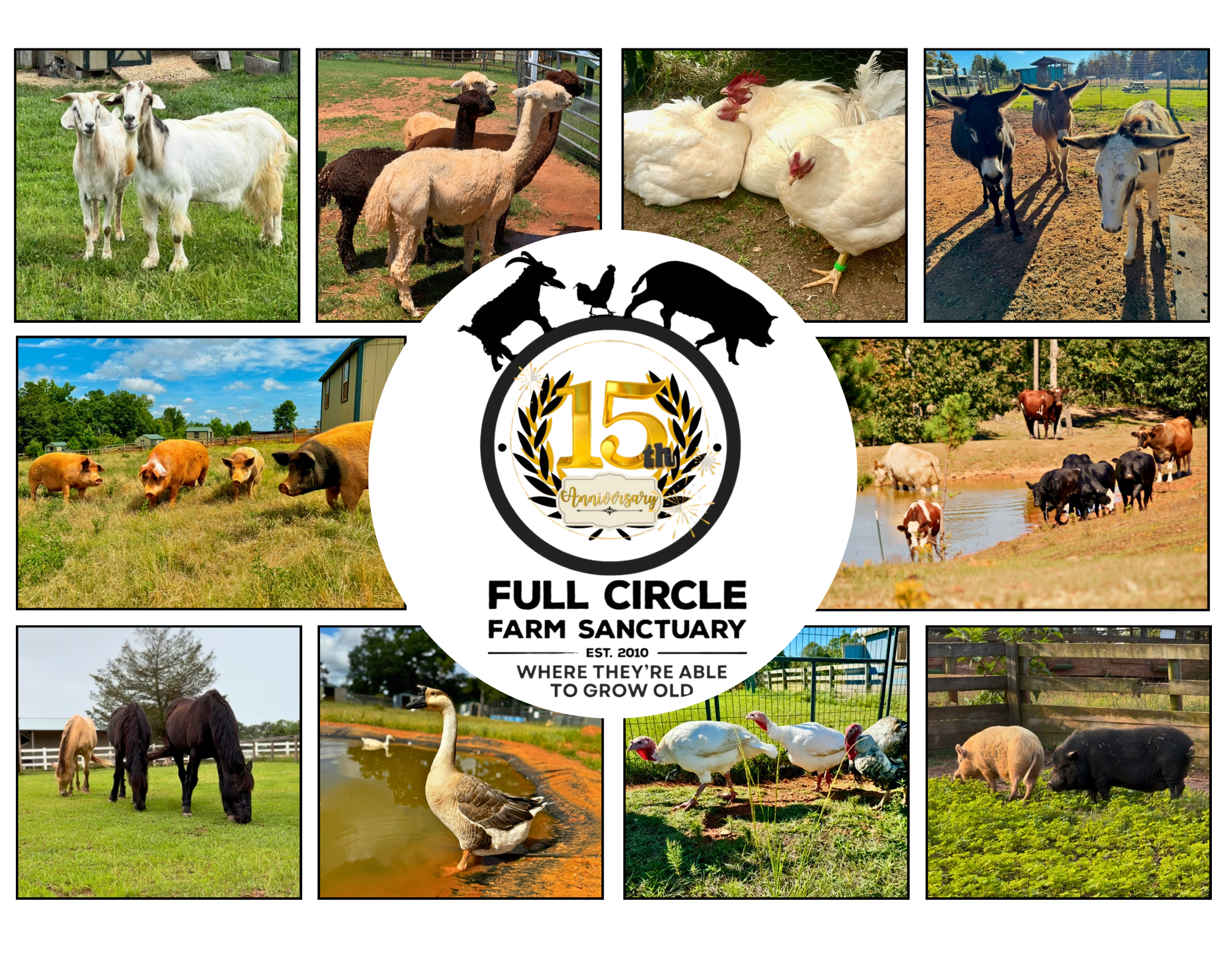 GFAS Collage